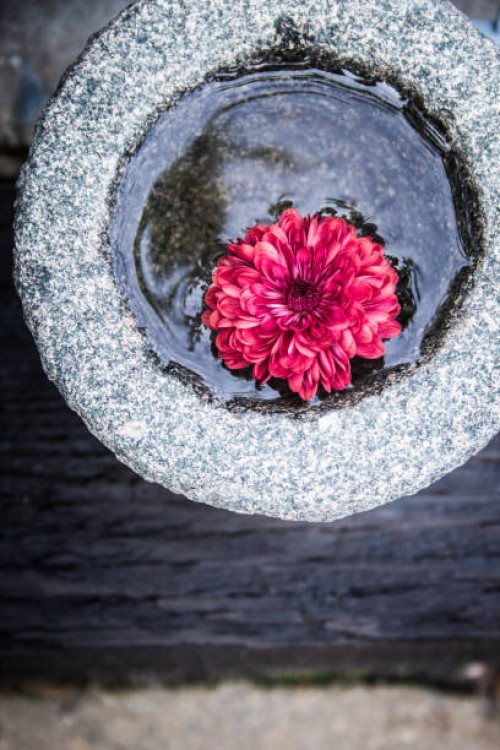 garden flowers #2 - garden decoration stock pictures, royalty-free photos & images