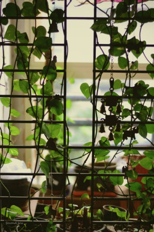 garden greens - garden decoration stock pictures, royalty-free photos & images