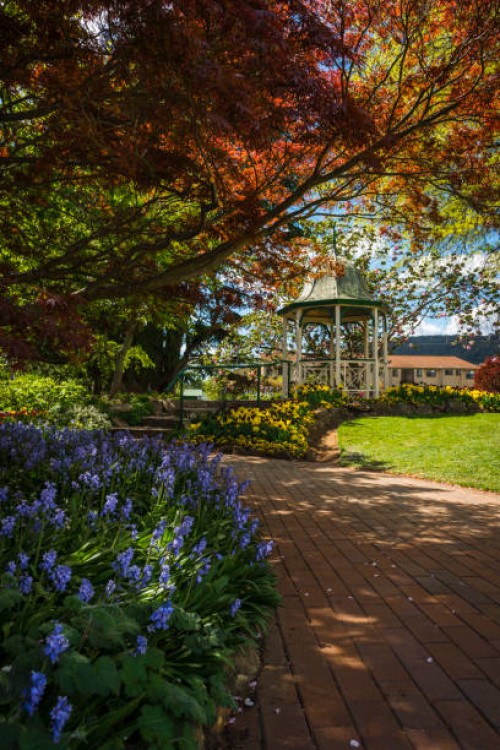 garden in bowral australia - garden decoration stock pictures, royalty-free photos & images