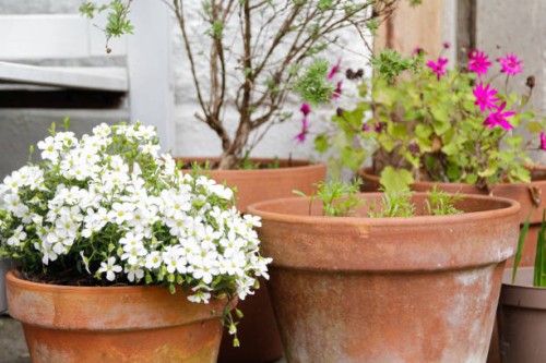 garden pots - garden decoration stock pictures, royalty-free photos & images