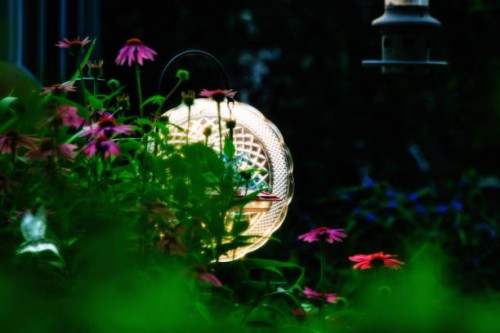 garden reflections - garden decoration stock pictures, royalty-free photos & images