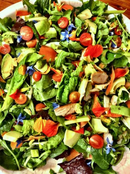 garden salad - garden decoration stock-fotos und bilder