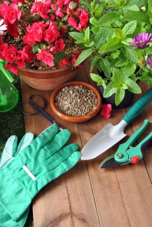 garden tools - garden decoration stock pictures, royalty-free photos & images