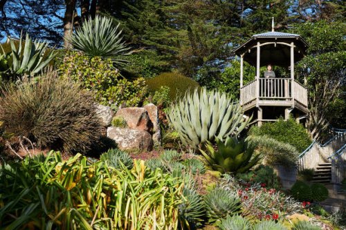 garden view - garden decoration stock pictures, royalty-free photos & images