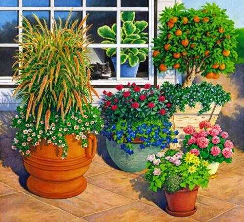 garden with cat in the window - garden decoration stock illustrations