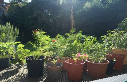 gardeners pots with plants in back garden - garden decoration stock pictures, royalty-free photos & images