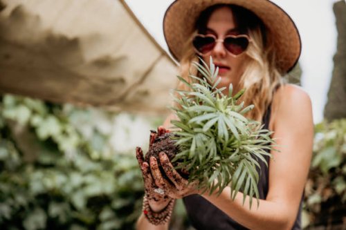 gardening florist kokedama experience - garden decoration stock pictures, royalty-free photos & images
