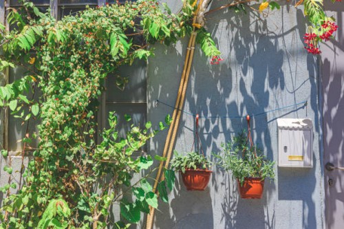 gardening in historic neighborhood, old renovated house decorated with potted plants in bright sunlight - garden decoration stock pictures, royalty-free photos & images