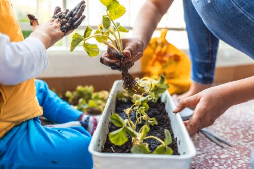 gardening with my son - garden decoration stock pictures, royalty-free photos & images