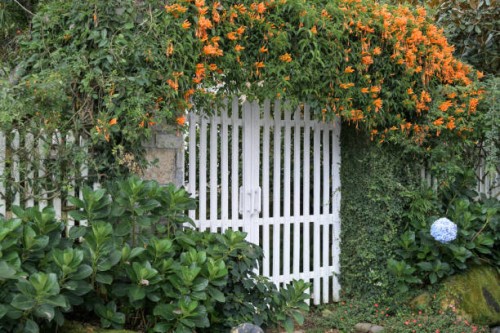 gate decor ideas with brilliant flowers and unique - garden decoration stock pictures, royalty-free photos & images