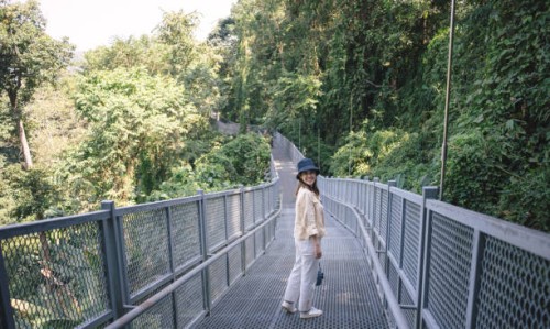 gen-z asian hipster canopy walkway in forest located at the impressive queen sirikit botanic gardens in chiang mai, thailand. - garden decoration stockfoto's en -beelden