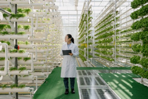genetically modified scientists are working in vegetable greenhouses - food stock pictures, royalty-free photos & images