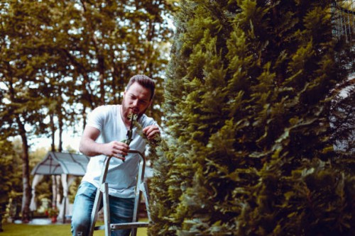 genieten terwijl mijn tuin versieren - garden decoration stockfoto's en -beelden