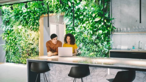 gens d’affaires travaillant dans l’espace vert moderne de bureau - garden decoration photos et images de collection