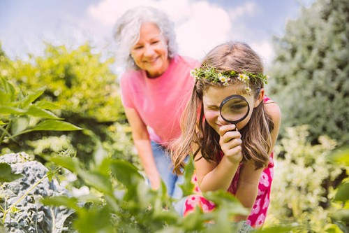 germany, northrhine westphalia, bornheim, grandmother and granddaughter working in vegetable garden - garden decoration stock pictures, royalty-free photos & images