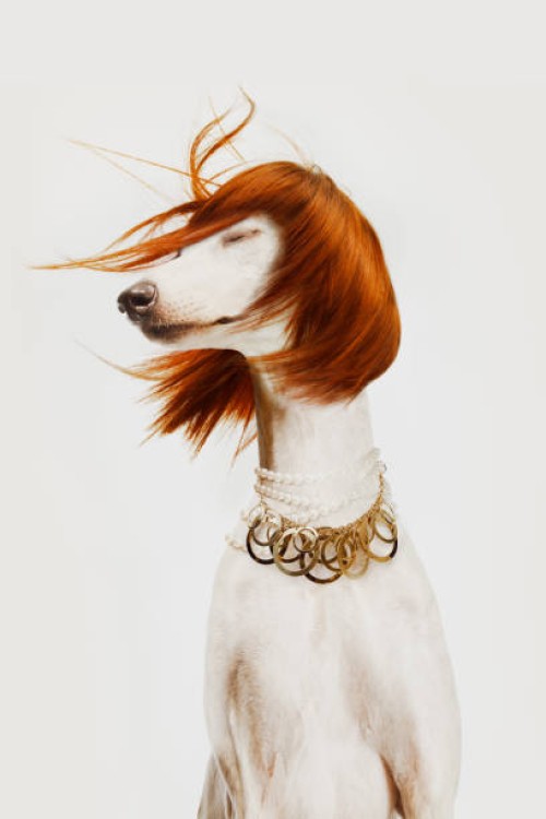 gigi - fashion stock pictures, royalty-free photos & images