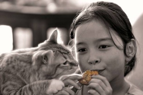 golden cookie - junk food stock-fotos und bilder