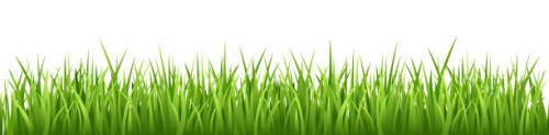 grass vector seamless - garden decoration stock illustrations