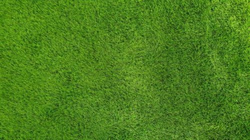 green artificial grass for the floor - garden decoration stock pictures, royalty-free photos & images