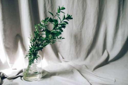 green branches in a vase on a gray background. eco concept. - garden decoration stock pictures, royalty-free photos & images