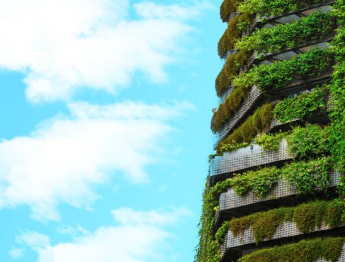 green building covered with a vertical garden for energy efficiency and big copy space of a blue sky. - garden decoration stock pictures, royalty-free photos & images