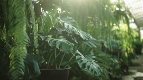 green environment. - garden decoration stock pictures, royalty-free photos & images