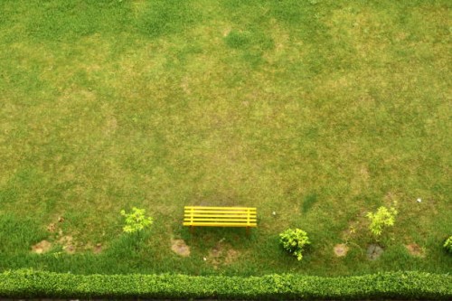 green garden - garden decoration photos et images de collection