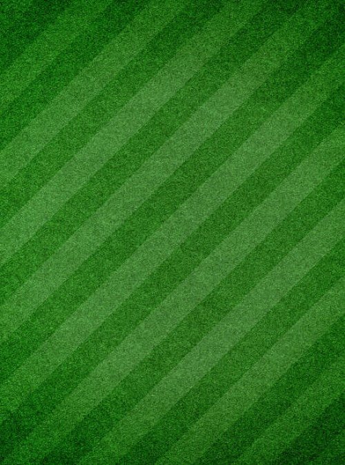 green grass textured background with stripe - garden decoration stock pictures, royalty-free photos & images