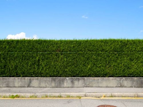 green hedge with sidewalk, street and blue sky in france - garden decoration stock pictures, royalty-free photos & images