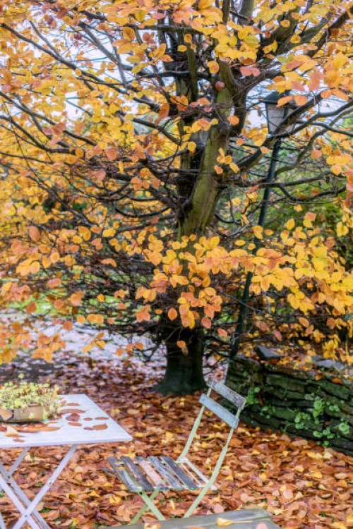 green metal garden furniture in a small garden in autumn - garden decoration stock pictures, royalty-free photos & images
