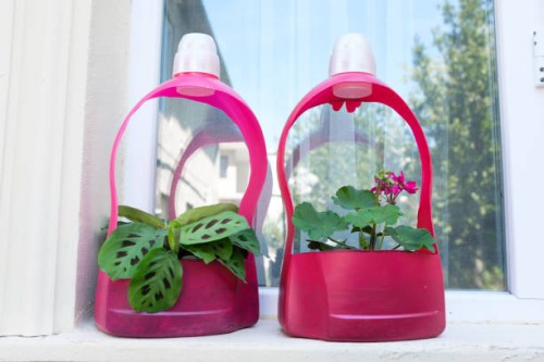 green plants in flower pots stand on the windowsill, on the balcony, outdoors. flowers in a used plastic bottle. view from the street. home improvement, lush foliage. recycling of waste and plastic. plastic pollution. environ