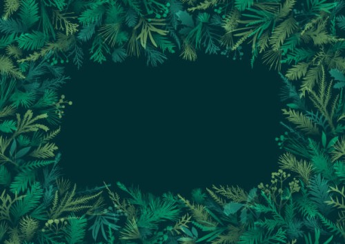 green realistic christmas plants frame design - garden decoration stock illustrations