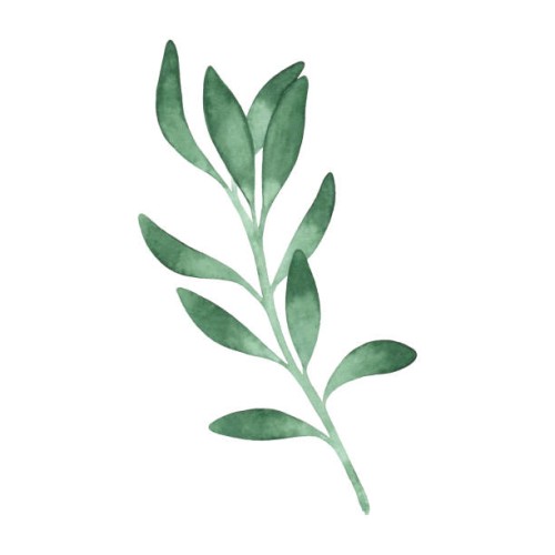 green simple watercolor branch - garden decoration stock illustrations