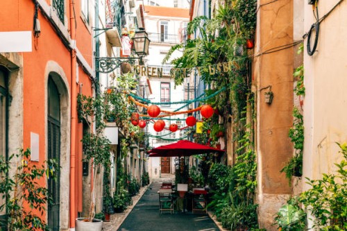 green street with plants in santa catarina district, lisbon, portugal - garden decoration stock pictures, royalty-free photos & images