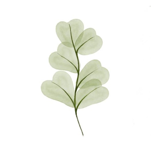 green watercolor plants - garden decoration stock pictures, royalty-free photos & images