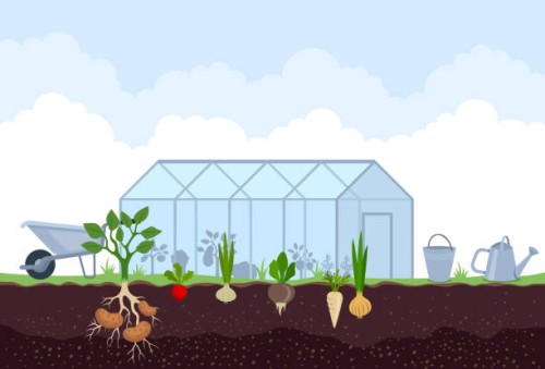 greenhouse for growing plants. - garden decoration stock illustrations