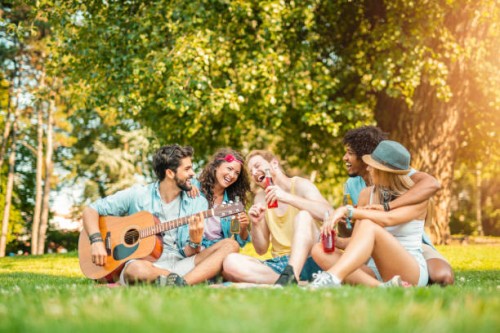 group of happy young people having fun in the park during music festival. - concert stock pictures, royalty-free photos & images