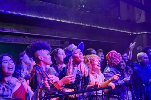 group of people enjoying an evening out at a music venue. - concert stock pictures, royalty-free photos & images