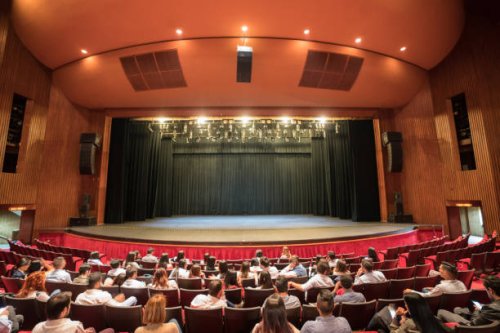 group of people sitting at the theater waiting for the performance to start - concert stock pictures, royalty-free photos & images