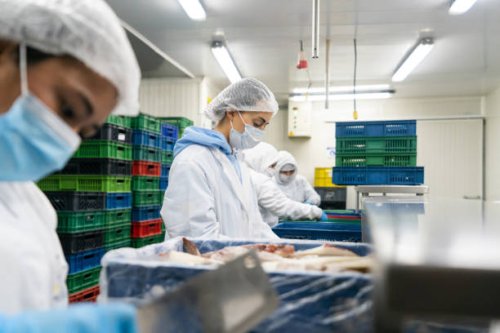 group of workers working in the production line at a fish factory - food stock pictures, royalty-free photos & images