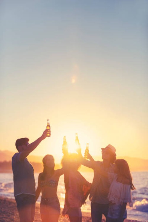 group of young people partying on the beach at sunset. - concert stock pictures, royalty-free photos & images