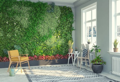 growing vertical garden at home - home decoration stock pictures, royalty-free photos & images