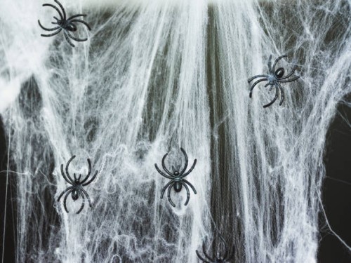halloween decor spider web - home decoration stock pictures, royalty-free photos & images