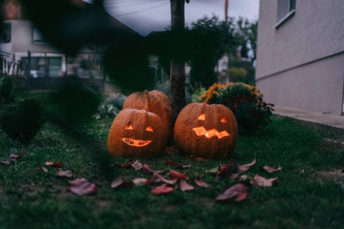 halloween decoration in a yard - garden decoration stock pictures, royalty-free photos & images