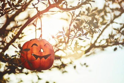 halloween jack o'lantern hanging in tree at dusk - garden decoration stock pictures, royalty-free photos & images
