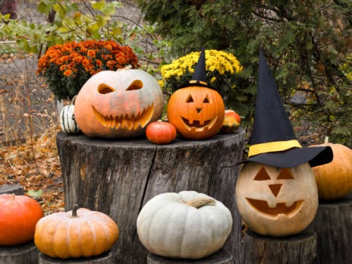 halloween pumpkins - home decoration stock pictures, royalty-free photos & images