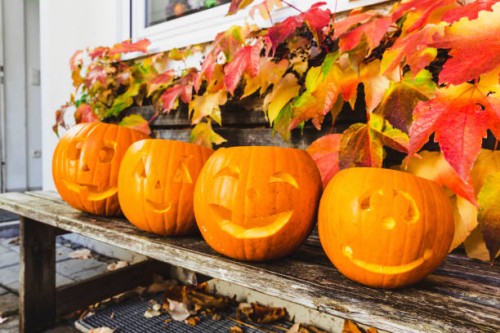 halloween pumpkins on wooden bench - home decoration stockfoto's en -beelden