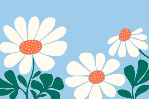 hand drawn daisy flowers and leaves background - garden decoration stock illustrations