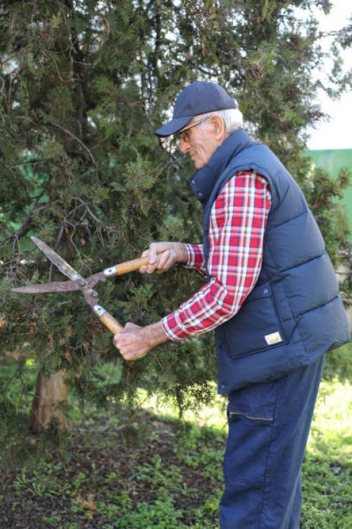 hand holding hedge shears - garden decoration stock pictures, royalty-free photos & images