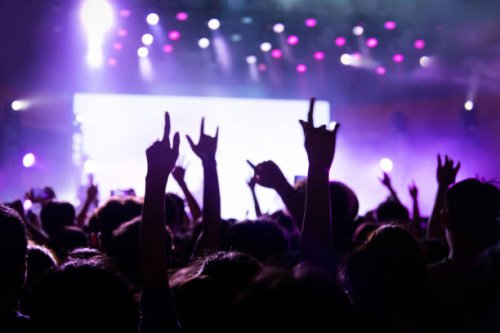 hands making rock sign at music festival - concert stock pictures, royalty-free photos & images